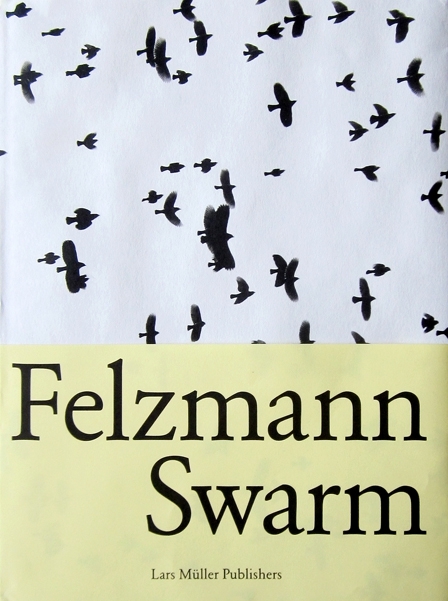 Swarm - Lukas Felzmann