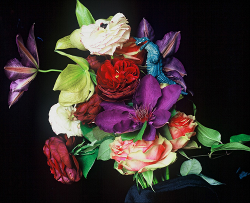 Nobuyoshi Araki - Flowers of Paradise