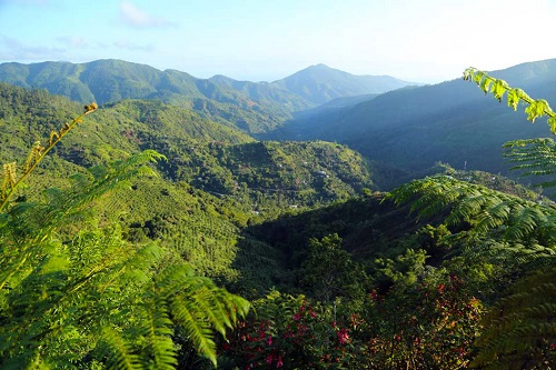 Las Blue Mountains de Jamaica, Patrimonio Mundial por la UNESCO