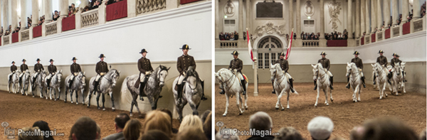 450 años de la Escuela Española de Equitación de Viena