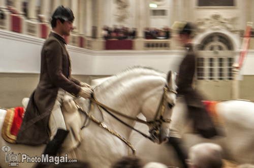 450 años de la Escuela Española de Equitación de Viena