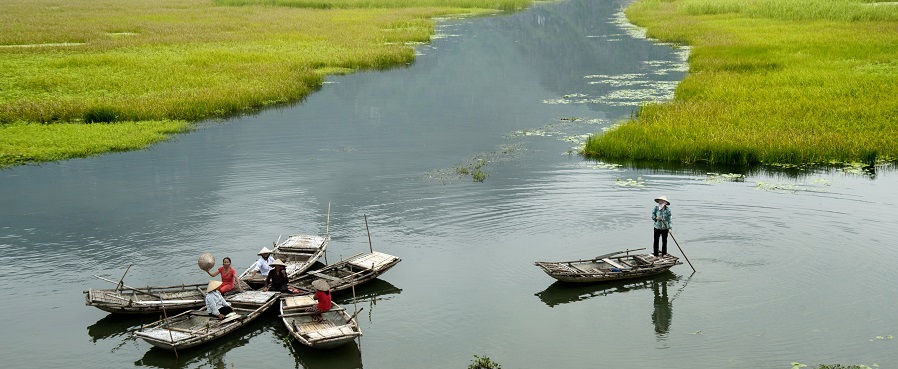 La belleza de Halong en el mar... o en medio de los arrozales