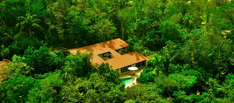 Jamaica se consolida como destino ecoturístico para 2021