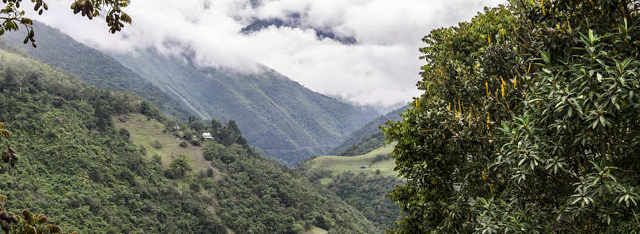 El Chocó Andino, un paraíso para la práctica del ecoturismo en Quito