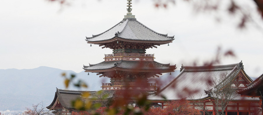 5 destinos imprescindibles para conocer Japón