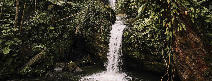 Cinco maravillas naturales que explorar en Puerto Rico