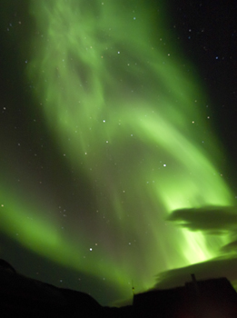 Celebra la navidad con Hurtigruten