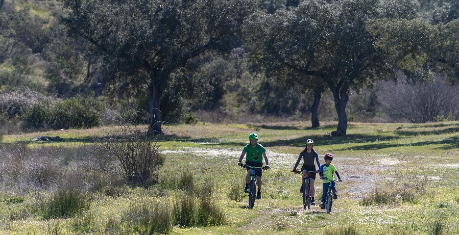 Disfrutar en Cáceres del Tajo Internacional