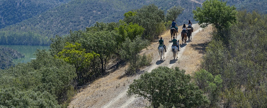 Disfrutar en Cáceres del Tajo Internacional