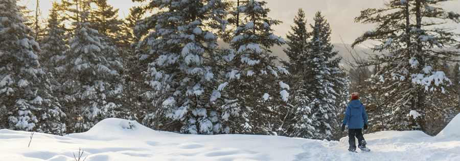 Passporter desvela los 10 destinos m&aacute;s demandados por los espa&ntilde;oles para Navidad y Fin de A&ntilde;o